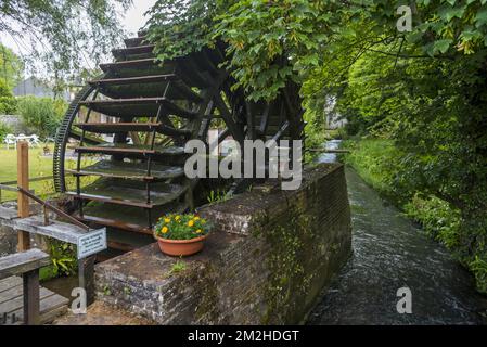 Old water mill / watermill on the river Veules along the Champs-Élysées path at Veules-les-Roses, Seine-Maritime, Côte d'Albâtre, Normandy, France | Moulin à eau sur le cours de la Veules à Veules-les-Roses, Seine-Maritime, Côte d'Albâtre, Normandie, France 02/07/2018 Stock Photo