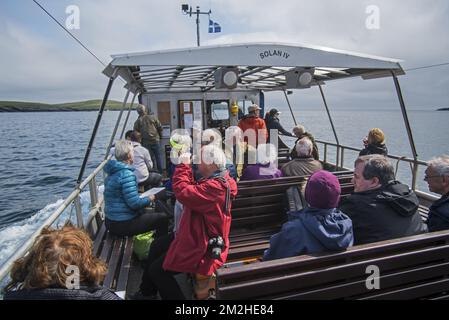 Ältere Touristen an Bord der offenen Passagierfähre Solan IV von Leebitton nach Mousa beobachten Seevögel, Shetland Islands, Schottland, Großbritannien | Touristes dans le Solan IV, Fähre de Leebitton à Mousa, Shetland, Ecosse 18/06/2018 Stockfoto