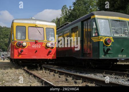 Zug der Fyfties auf der Eisenbahn | Chemin de fer du Bocq avec des trains des annes cinquante 05/08/2018 Stockfoto