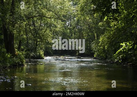In Belgien und Wallonien fielen die Ströme aufgrund der Hitzewelle schwer | Le Level d'Eau des rivieres en Belgique et Wallonie a Fortement baisse a cause de la canicule. 05/08/2018 Stockfoto