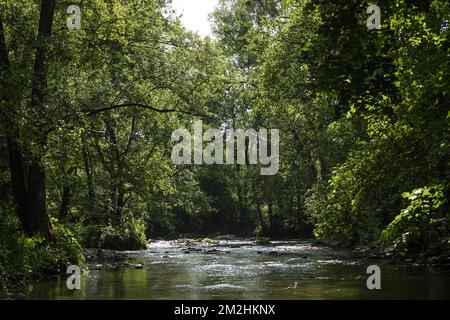 In Belgien und Wallonien fielen die Ströme aufgrund der Hitzewelle schwer | Le Level d'Eau des rivieres en Belgique et Wallonie a Fortement baisse a cause de la canicule. 05/08/2018 Stockfoto