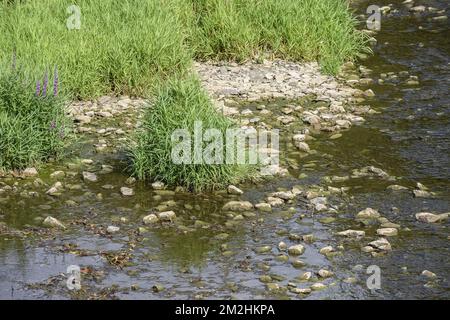 In Belgien und Wallonien fielen die Ströme aufgrund der Hitzewelle schwer | Le Level d'Eau des rivieres en Belgique et Wallonie a Fortement baisse a cause de la canicule. 05/08/2018 Stockfoto