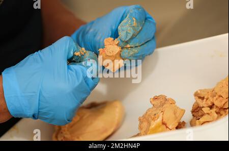 Illustration zeigt einen Besuch auf der Sauvenière Farm, die Foie Gras produziert, in Florennes, Freitag, den 10. August 2018. BELGA PHOTO VIRGINIE LEFOUR Stockfoto