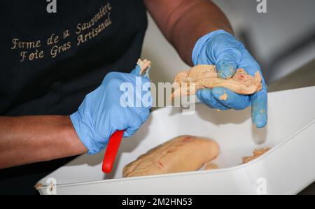 Illustration zeigt einen Besuch auf der Sauvenière Farm, die Foie Gras produziert, in Florennes, Freitag, den 10. August 2018. BELGA PHOTO VIRGINIE LEFOUR Stockfoto