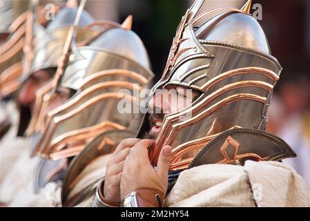 Rüstung und Schwerter | Armures et épées 15/08/2018 Stockfoto