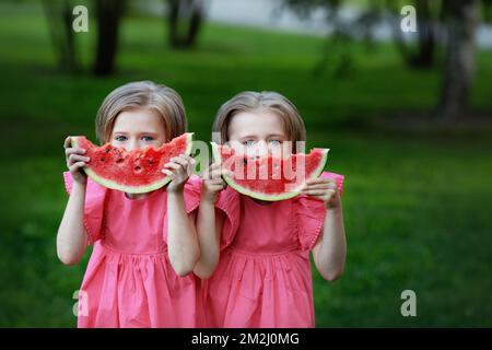 Zwillingsschwestern mit Wassermelone in den Händen auf dem Grashintergrund. Identische kleine Mädchen schauen in die Kamera und tragen pinkfarbene Kleider. Sommerferien für Kinder Stockfoto