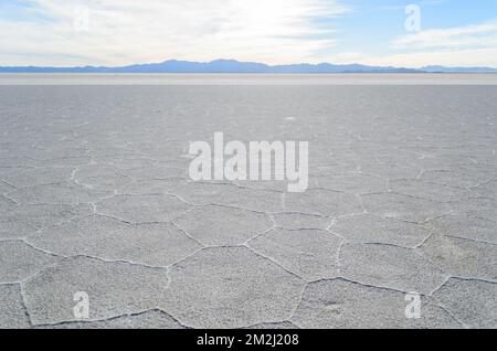 Sechseckmuster in den Salzebenen von Salinas Grandes in Jujuy, Argentinien. Stockfoto