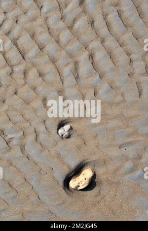 Felsstein am Strand, Surwada Beach, Valsad, Gujarat, Indien Stockfoto