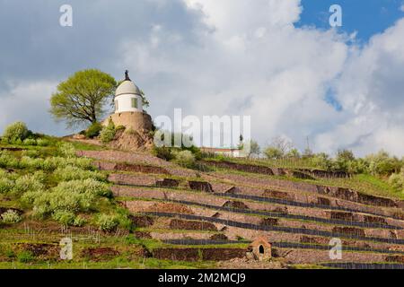 Wackerbarth Castle ist ein Barockschloss in Radebeul in der Nähe von Dresden, Meißen, Sachsen, Deutschland, Europa Stockfoto