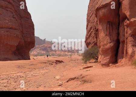 Rötliche Landschaften entlang Highway 68, Salta, Argentinien. Stockfoto