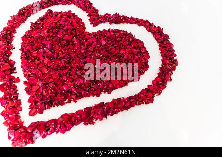 Rote Rosenblumen in einem herzförmigen Rahmen. Herzform am Valentinstag aus roten Rosen, isoliert auf weißem Hintergrund und natürlichem Licht. Stockfoto