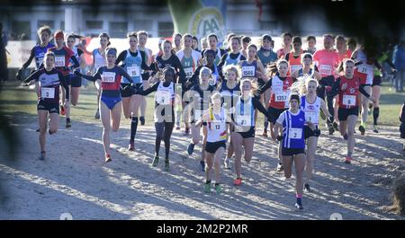 Illustration picture shows the start of the women's race at the fourth stage of the Structabo CrossCup cross country running competition, in Hannut, Sunday 20 January 2019. BELGA PHOTO YORICK JANSENS Stockfoto