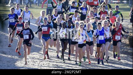 Illustration picture shows the start of the women's race at the fourth stage of the Structabo CrossCup cross country running competition, in Hannut, Sunday 20 January 2019. BELGA PHOTO YORICK JANSENS Stockfoto