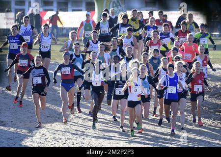 Illustration picture shows the start of the women's race at the fourth stage of the Structabo CrossCup cross country running competition, in Hannut, Sunday 20 January 2019. BELGA PHOTO YORICK JANSENS Stockfoto
