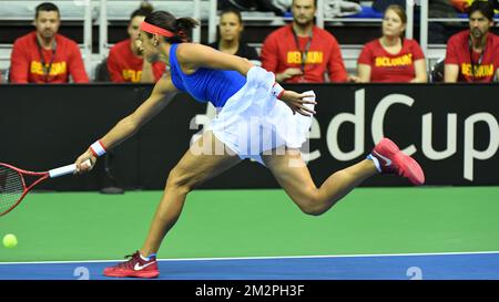 Die französische Caroline Garcia zeigte sich in Aktion während eines Tennisspiels zwischen der belgischen Elise Mertens und der französischen Caroline Garcia, dem dritten Gummi des Fed-Cup-Tennistreffens zwischen Belgien und Frankreich, dem Viertelfinale der Weltgruppe am Sonntag, den 10. Februar 2019 in Lüttich. BELGA FOTO BENOIT DOPPPAGNE Stockfoto