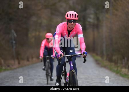 Belgischer Sep Vanmarcke von EF Education First Pro Cycling, aufgenommen während der Aufklärung der Rennstrecke der 74.. Ausgabe des eintägigen Radrennens Omloop Het Nieuwsblad, Donnerstag, den 28. Februar 2019. BELGA FOTO DAVID STOCKMAN Stockfoto