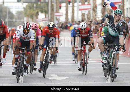 Der irische Sam Bennett von Bora-Hansgrohe (R) gewinnt vor dem kolumbianischen Fernando Gaviria von Team Emirates der Vereinigten Arabischen Emirate (L) den Sprint am Ende der letzten Etappe des Radrennens „UAE Tour“ 2019, 145 km vom Dubai Safari Park zum City Walk, Vereinigte Arabische Emirate, Samstag, 02. März 2019. Die diesjährige Ausgabe findet vom 24. Februar bis zum 2. März statt. BELGA FOTO YUZURU SUNADA FRANCE RAUS Stockfoto