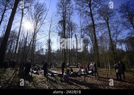 Abbildung: Foto anlässlich der Terroranschläge von 2016 in Brüssel im Naturdenkmal Birch Circle im Sonian Forest (Foret de Soignes - Zonienwoud), Freitag, den 22. März 2019, in Brüssel. Am 22 2016. März wurden 32 Menschen bei Selbstmordattentaten auf dem Brüsseler Flughafen und in der Brüsseler U-Bahn getötet und 324 verletzt. Das Denkmal wurde von der Brüsseler Umwelt zum Architekten von B. Smets bestellt. Stockfoto