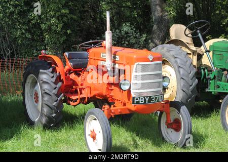 Oldtimer- oder alte Traktoren auf einer Landmesse. Stockfoto