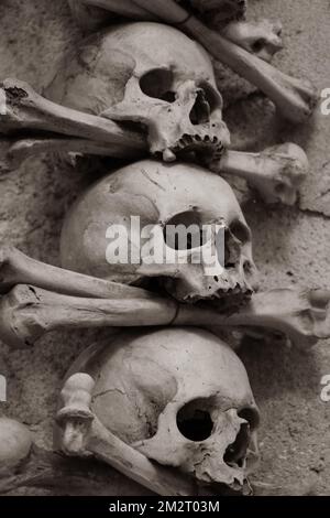 A vertical shot of the real human skulls and bones in Sedlec Ossuary Catholic Chapel in Kutna Hora in the Czech Republic Stockfoto