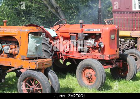 Oldtimer-Traktoren auf einer Landausstellung. Stockfoto