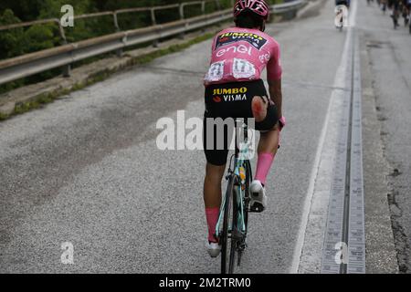 Der slowenische Primoz Roglic vom Team Jumbo-Visma wurde nach einem Sturz in der sechsten Etappe des Radrennens Giro D'Italia 101., 238km von Cassino nach San Giovanni Rotondo, Italien, am Donnerstag, den 16. Mai 2019, gezeigt. BELGA FOTO YUZURU SUNADA FRANCE RAUS Stockfoto
