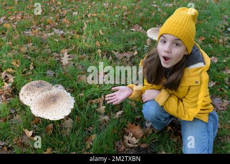 Teenager-Mädchen sind überrascht, große Pilze auf einem Spaziergang im Wald zu finden. Riesige Pilze zu finden Stockfoto