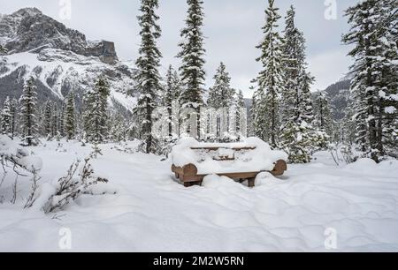 Schneebedeckte Bank am Emerald Lake im Yoho National Park, British Columbia, Kanada Stockfoto