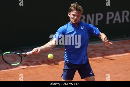 Belgian David Goffin pictured during the match between David Goffin (BE) and Miomir Kecmanovic (SER), in the men's singles second round at the Roland Garros French Open tennis tournament, in Paris, France, Wednesday 29 May 2019. The main draw of this year's Roland Garros Grand Slam takes place from 26 May to 9 June. BELGA PHOTO VIRGINIE LEFOUR Stock Photo