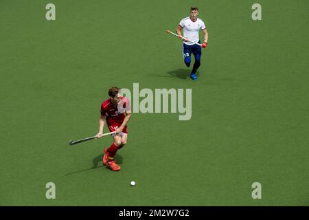 Belgium's Gauthier Boccard and Britain's Sam Ward fight for the ball during a field hockey game between Belgium's Red Lions and Great Britain, Thursday 30 May 2019 in Wilrijk, Antwerp, game 7/14 of the men's FIH Pro League competition. BELGA PHOTO JASPER JACOBS Stock Photo