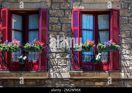 Blick auf ein Haus mit zwei Fenstern und Blumen Stockfoto