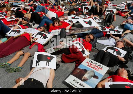 Abbildung zeigt einen märz für die Schließung der Schlachthöfe in Brüssel, Sonntag, den 16. Juni 2019. BELGA FOTO NICOLAS MAETERLINCK Stockfoto