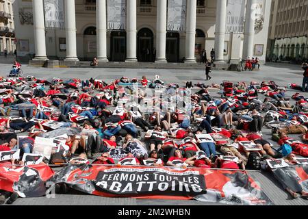 Abbildung zeigt einen märz für die Schließung der Schlachthöfe in Brüssel, Sonntag, den 16. Juni 2019. BELGA FOTO NICOLAS MAETERLINCK Stockfoto