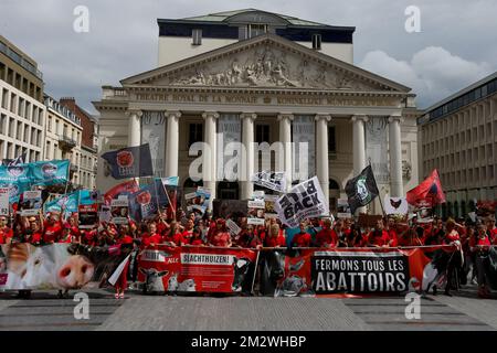 Abbildung zeigt einen märz für die Schließung der Schlachthöfe in Brüssel, Sonntag, den 16. Juni 2019. BELGA FOTO NICOLAS MAETERLINCK Stockfoto