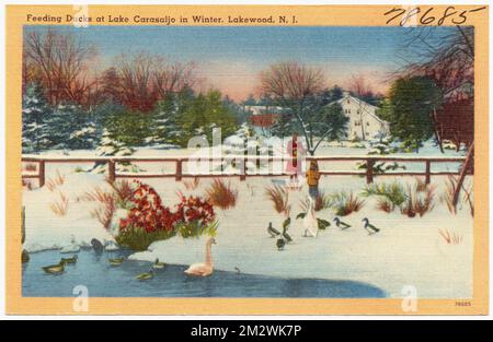 Entenfütterung am Lake Carasaljo im Winter, Lakewood, N. J., Lakes & Ponds, Tichnor Brothers Collection, Postkarten der Vereinigten Staaten Stockfoto