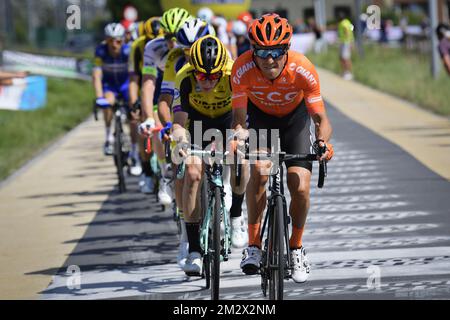 Belgischer Serge Pauwels vom CCC-Team, in Aktion während der belgischen Radmeisterschaft der Herrenelite in Gent, einem 223,8 km langen Rennen, am Sonntag, den 30. Juni 2019. BELGA-FOTOPOOL NICO VEREECKEN Stockfoto