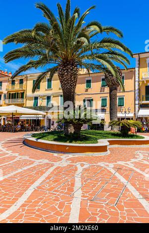 Palmen (Arecales) auf der Piazza Giacomo Matteotti, Porto Azzurro, Elba, toskanischen Inseln, Toskana, Italien Stockfoto