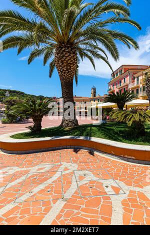 Palmen (Arecales) auf der Piazza Giacomo Matteotti, Porto Azzurro, Elba, toskanischen Inseln, Toskana, Italien Stockfoto