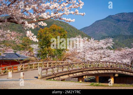 Kyoto, Japan in der Arashiyama-Gegend im Frühling. Stockfoto