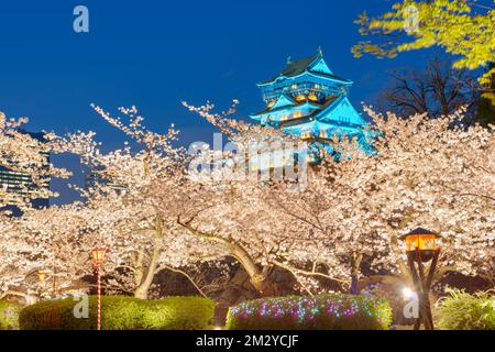 Osaka, Japan at Osaka Castle during spring season at twilight. Stock Photo