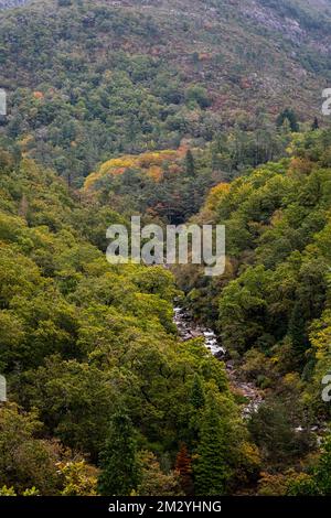 Nationalpark Peneda Gerês, Portugal - 29. Oktober 2021 : Mata da Albergaria Stockfoto