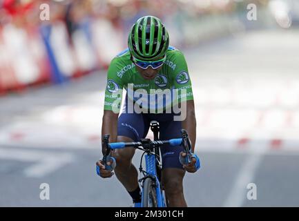 Das kolumbianische Nairo Quintana vom Movistar Team überquert die Ziellinie von Stufe 17 der 2019. Ausgabe des Radrennen „Vuelta a Espana“, Tour of Spain, von Aranda de Duero nach Guadalajara (219,6 km), Mittwoch, den 11. September 2019. BELGA FOTO YUZURU SUNADA - FRANKREICH RAUS Stockfoto