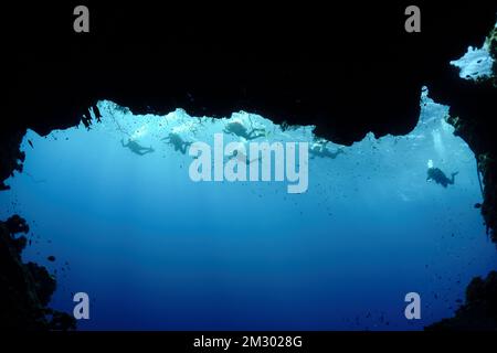 Ein Haufen Taucher im Hintergrund schwimmen entlang einer Höhle im Roten Meer Stockfoto