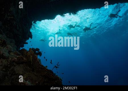 Ein Haufen Taucher im Hintergrund schwimmen entlang einer Höhle im Roten Meer Stockfoto