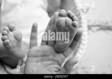 Baby Füße in den Händen von Mutter, Vater, älterer Bruder oder Schwester, Familie. Stockfoto