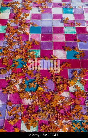 Ein Pool mit Wasser und Herbstblättern. Ein Teich mit vielen gefallenen Blättern. Unter Wasser fliesen. Stockfoto