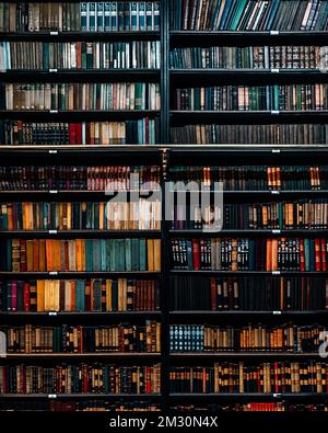 Königliches portugiesisches Kabinett des Lesens - die schönste Bibliothekswelt Brasiliens Stockfoto