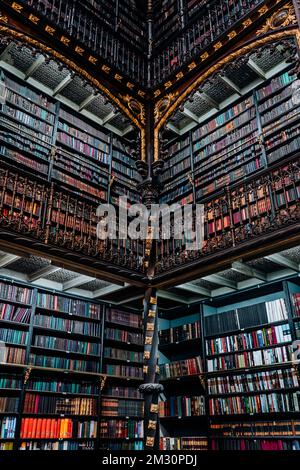 Königliches portugiesisches Kabinett des Lesens - die schönste Bibliothekswelt Brasiliens Stockfoto