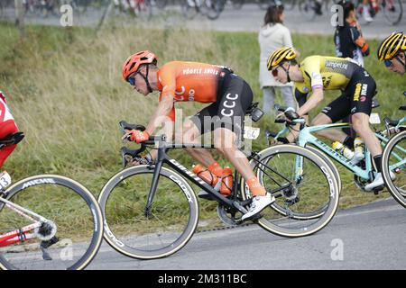 Belgische Serge Pauwels vom CCC-Team (C) in Aktion während des eintägigen Radrennens Giro di Lombardia am Samstag, den 12. Oktober 2019 in Como, Italien. BELGA FOTO YUZURU SUNADA FRANCE RAUS Stockfoto