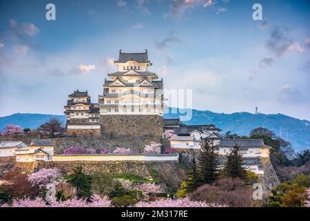 Himeji, Japan in Himeji Castle während Kirschblüte Frühjahrssaison. Stockfoto